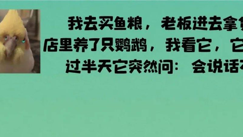 蜜饯果干代发价格多少钱一斤
